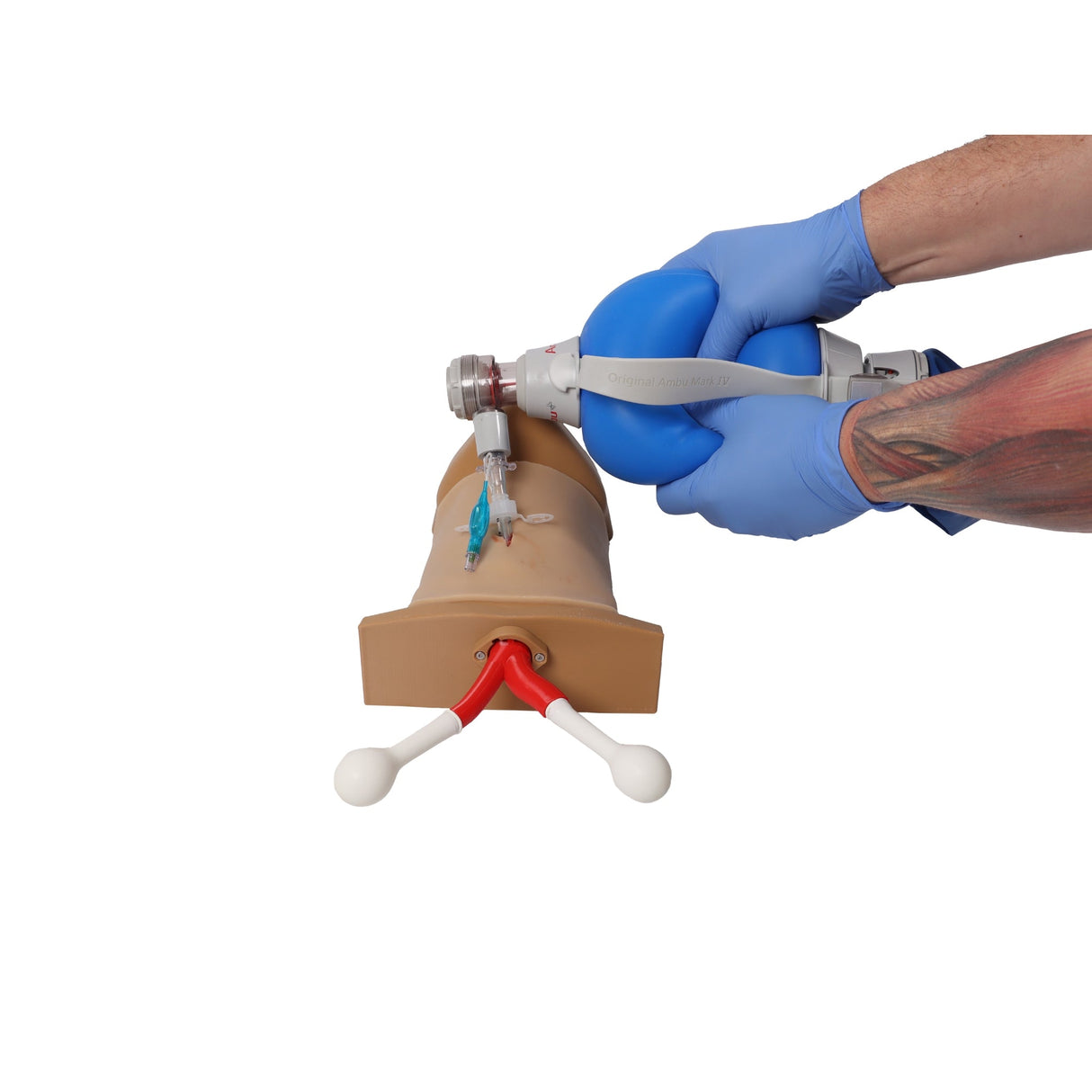 Crico Chris - Cricothyrotomy Task Trainer EZ-7660 | Sim & Skills