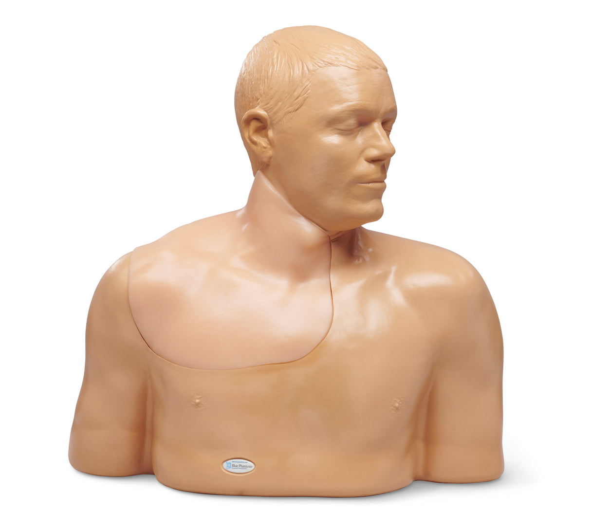 Gen II Regional Anaesthesia and Central Line Ultrasound Training Model BPHNB670-HP | Sim & Skills Ltd