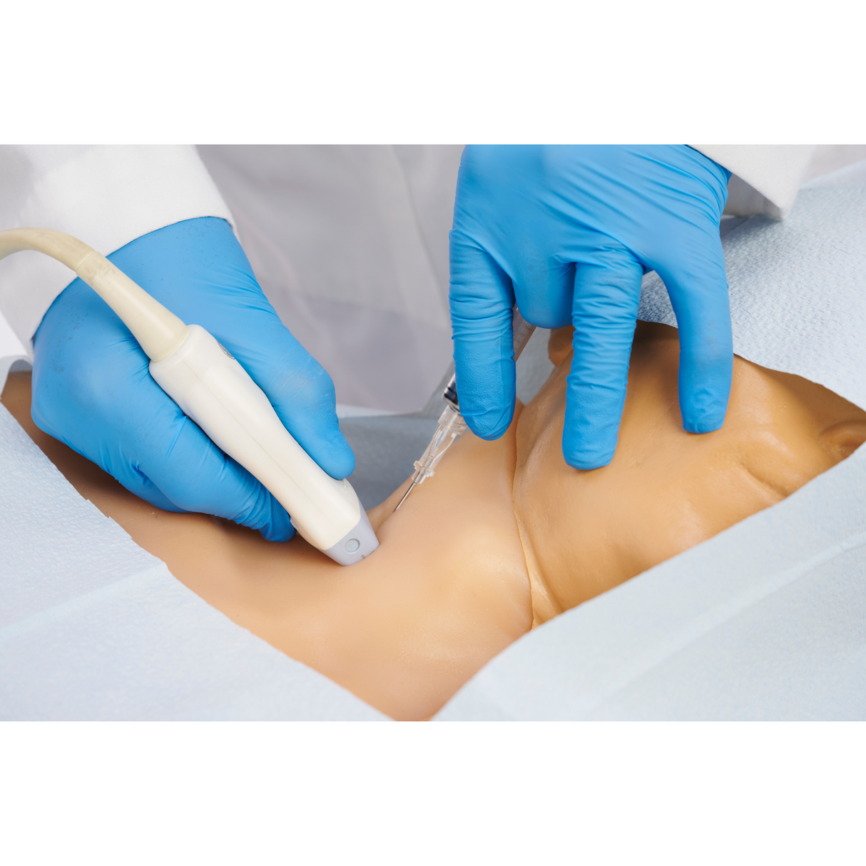 Gen II Regional Anaesthesia and Central Line Ultrasound Training Model BPHNB670-HP | Sim & Skills Ltd