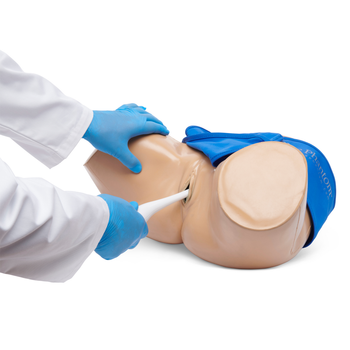 General Pathology Transvaginal Ultrasound Training Model BPOB1220 | Sim & Skills