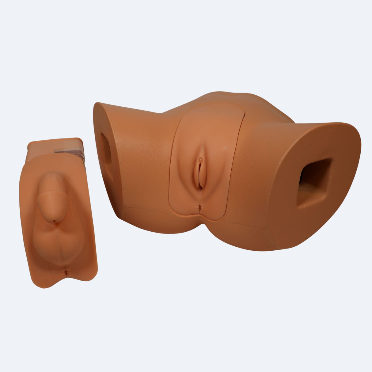 Male & Female Catheterisation Simulator BT-CSC | Sim & Skills Ltd