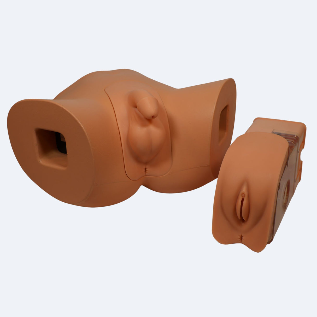 Male & Female Catheterisation Simulator BT-CSC | Sim & Skills Ltd