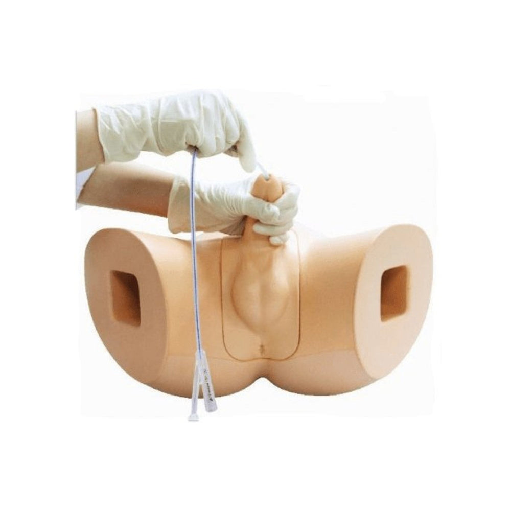 Male Catheterisation Simulator BT-CSCM | Sim & Skills Ltd