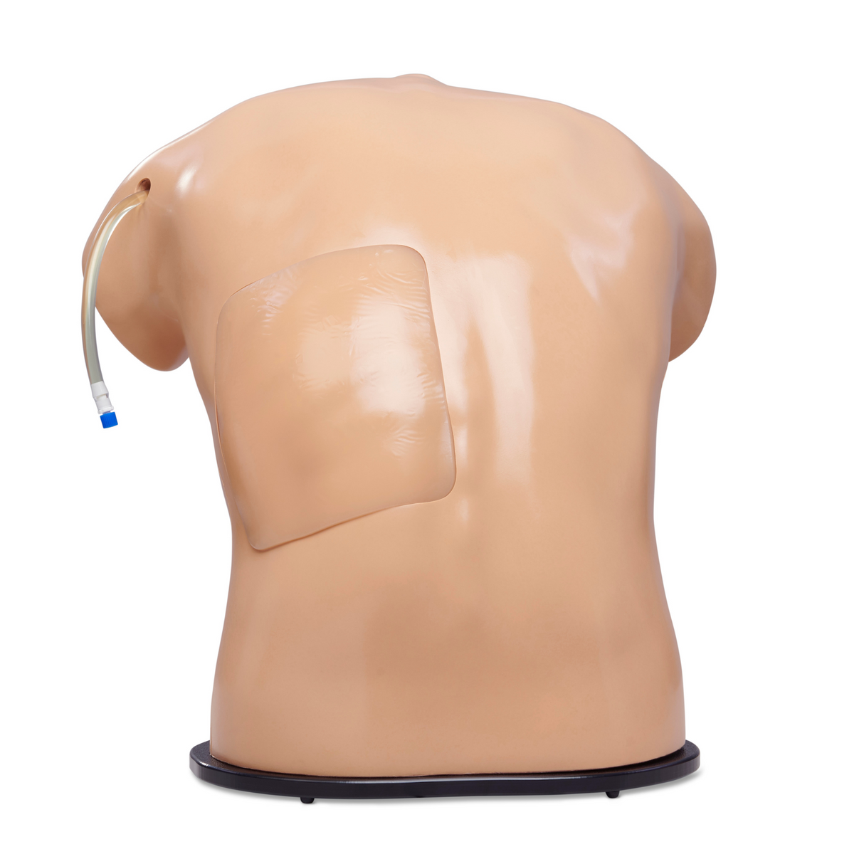 Midscapular Thoracentesis Ultrasound Training Model BPTT2-1005 | Sim & Skills