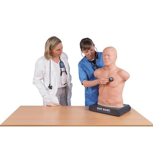 SAM Basic - Affordable Auscultation Manikin 1020097 | Sim & Skills