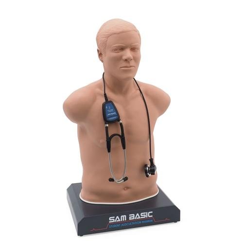 SAM Basic - Affordable Auscultation Manikin 1020097 | Sim & Skills