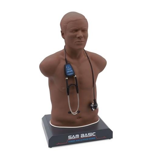 SAM Basic - Affordable Auscultation Manikin 1022474 | Sim & Skills