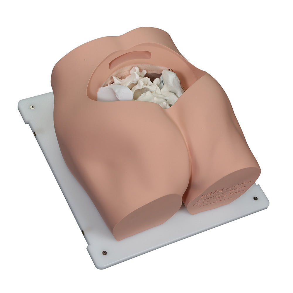 Bonnie Bone Marrow Biopsy Skills Trainer