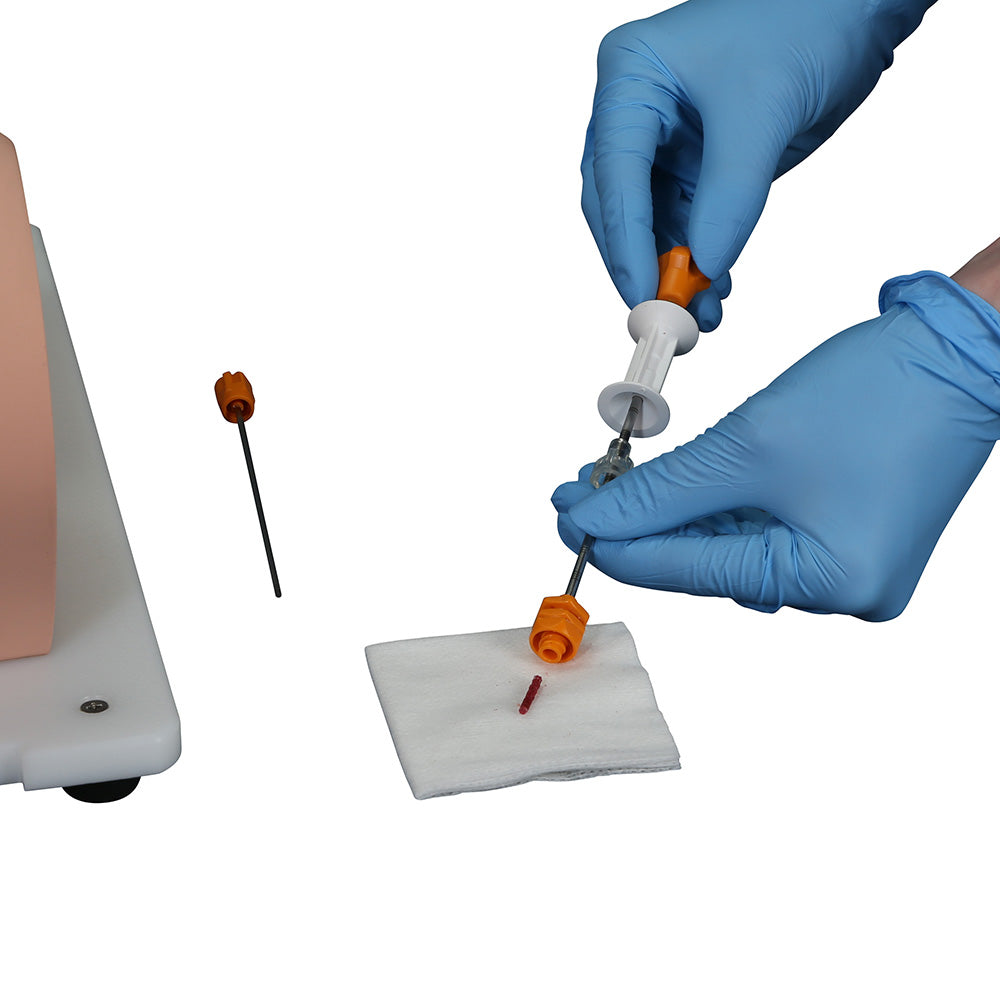 Bonnie Bone Marrow Biopsy Skills Trainer