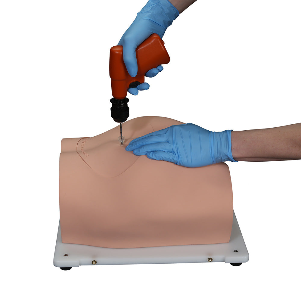 Bonnie Bone Marrow Biopsy Skills Trainer