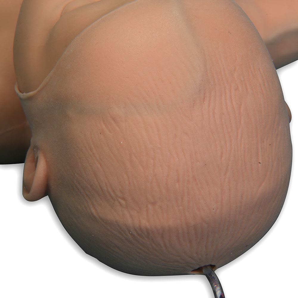 Nita Newborn VTA1800 | Sim & Skills