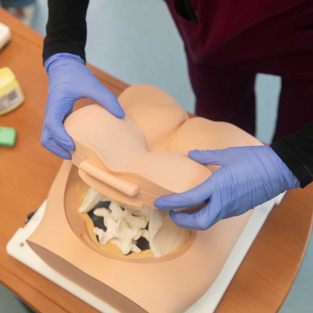 Bonnie Bone Marrow Biopsy Skills Trainer