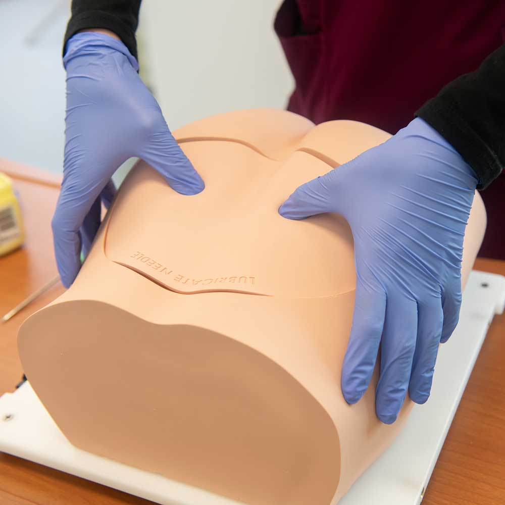 Bonnie Bone Marrow Biopsy Skills Trainer