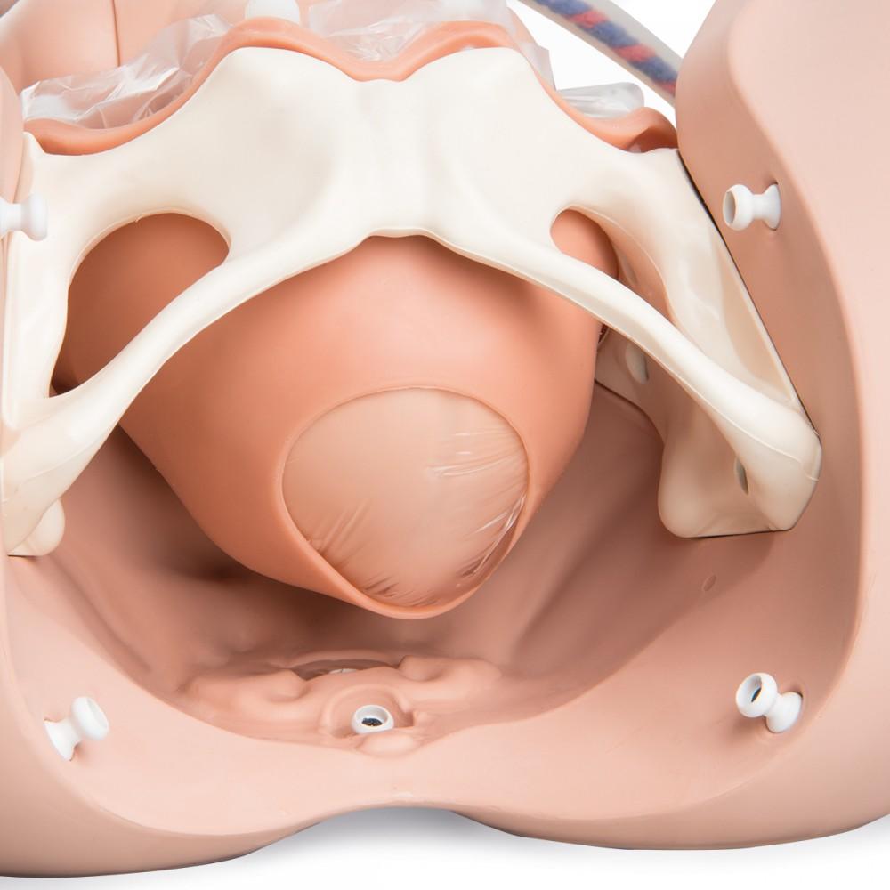 Birthing Simulator Pro 1022879 | Sim & Skills