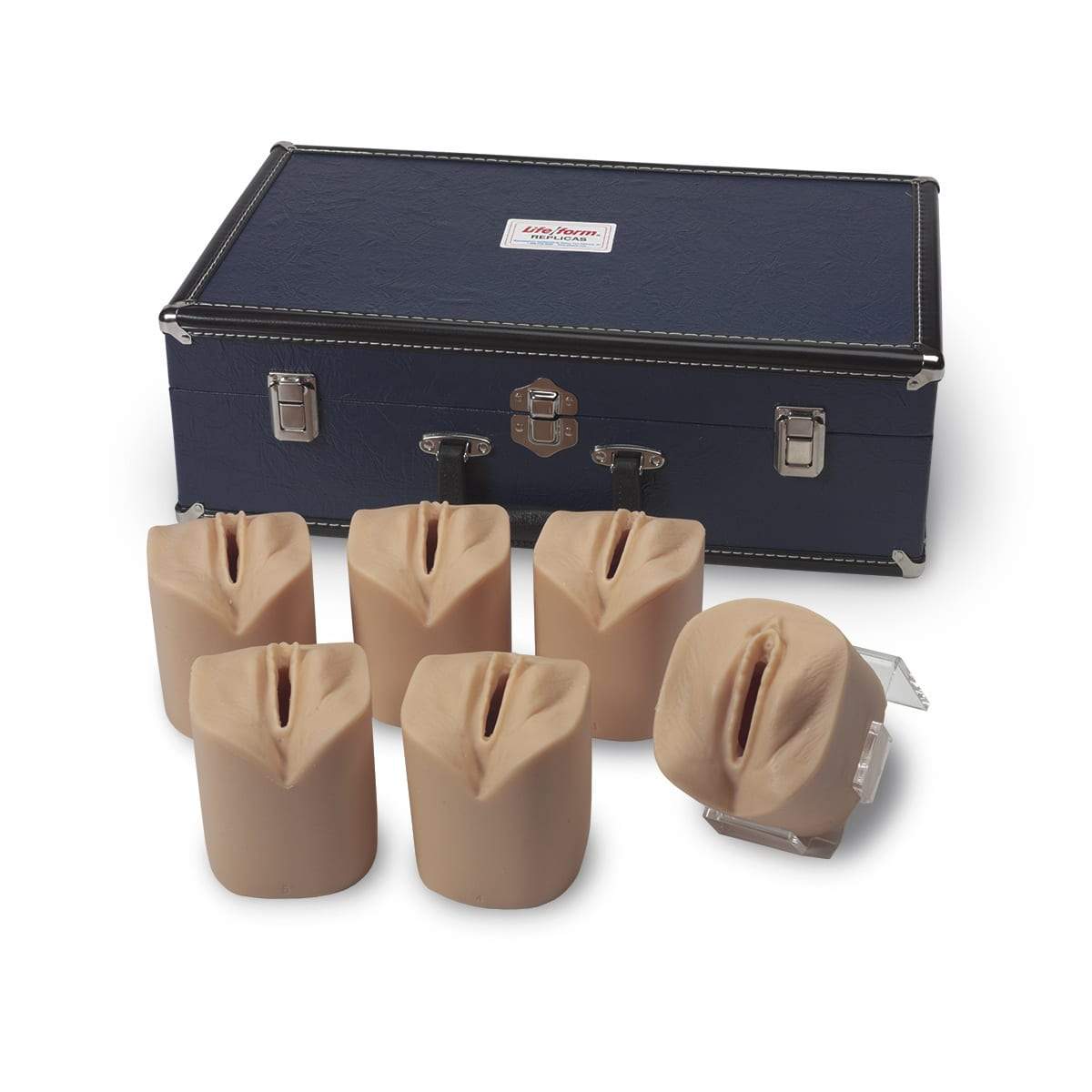 Cervical Dilatation and Effacement Simulators LF01068 | Sim & Skills