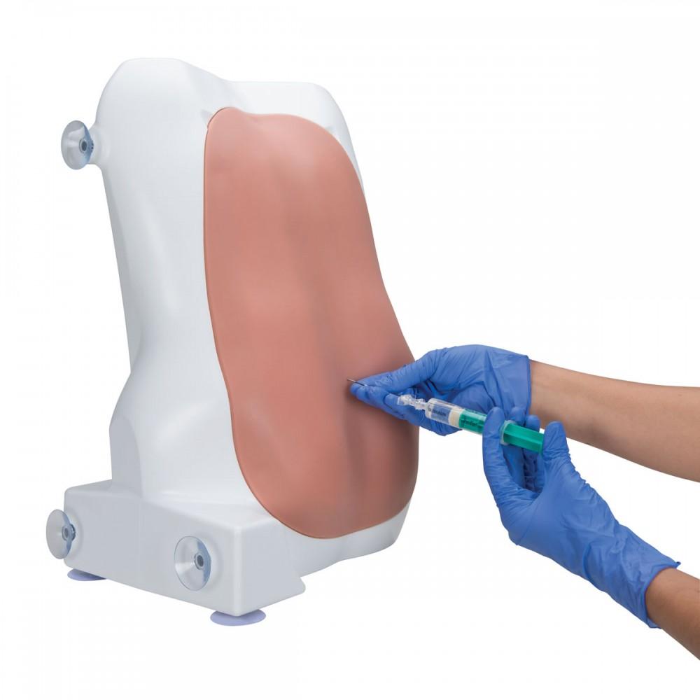 Epidural and Spinal Injection Trainer 1017891 | Sim & Skills
