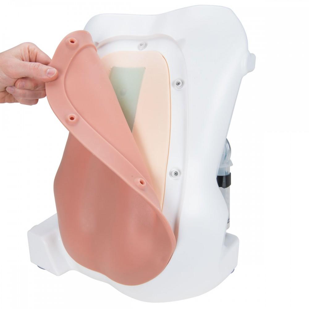 Epidural and Spinal Injection Trainer 1017891 | Sim & Skills