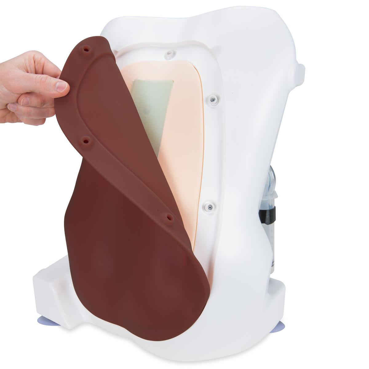 Epidural and Spinal Injection Trainer 1017892 | Sim & Skills