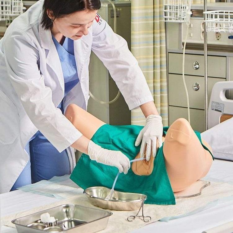 Female Catheterisation Simulator BT-CSCF | Sim & Skills Ltd