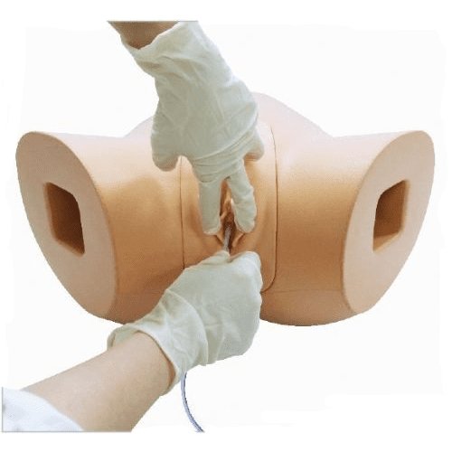 Female Catheterisation Simulator BT-CSCF | Sim & Skills Ltd