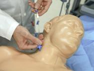 Gen II Central Line Ultrasound Training Model | Blue Phantom BPH660-HP | Sim & Skills