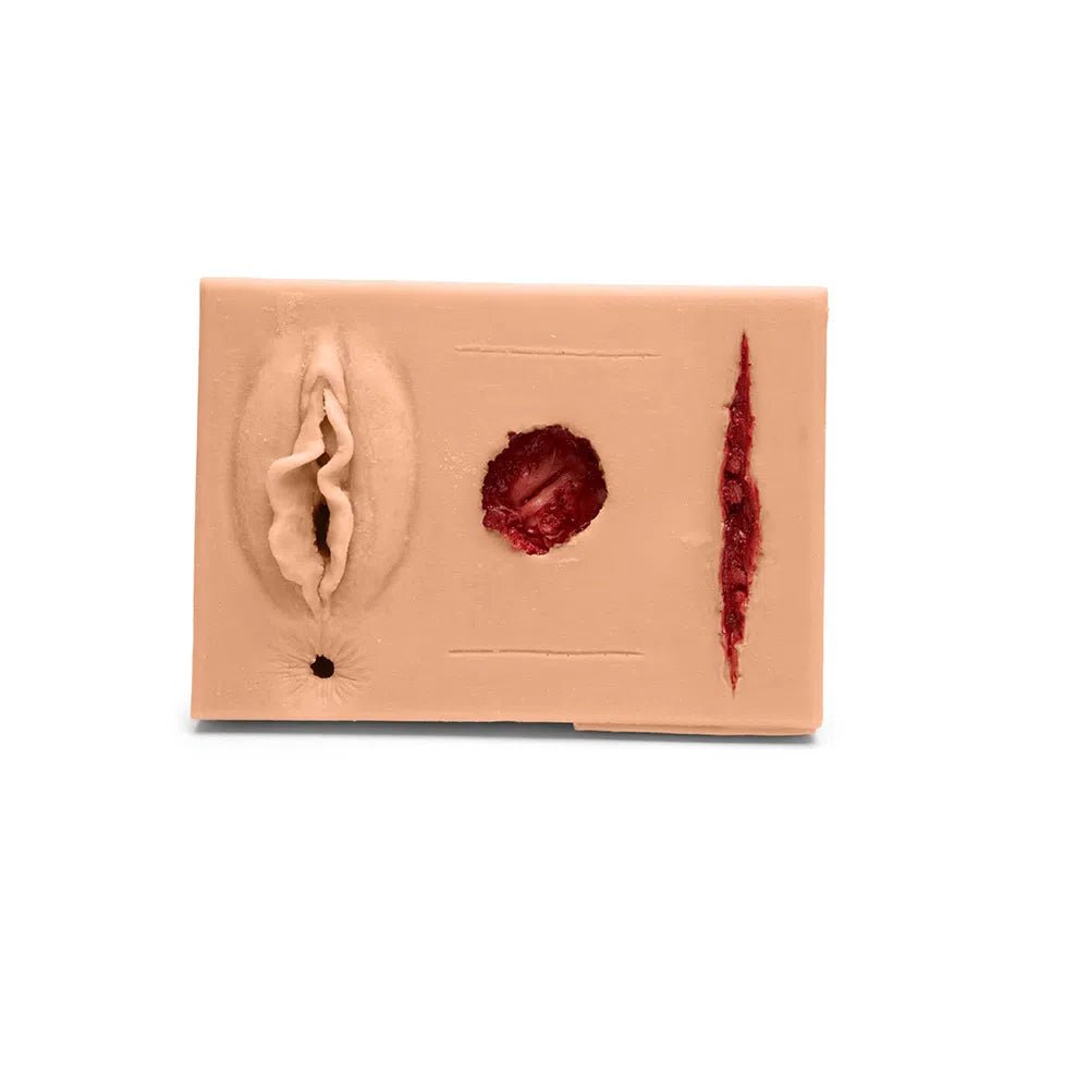 MultiPad 2 | Multipurpose Clinical Skills Trainer FLEX-MULTIPAD2-B | Sim & Skills