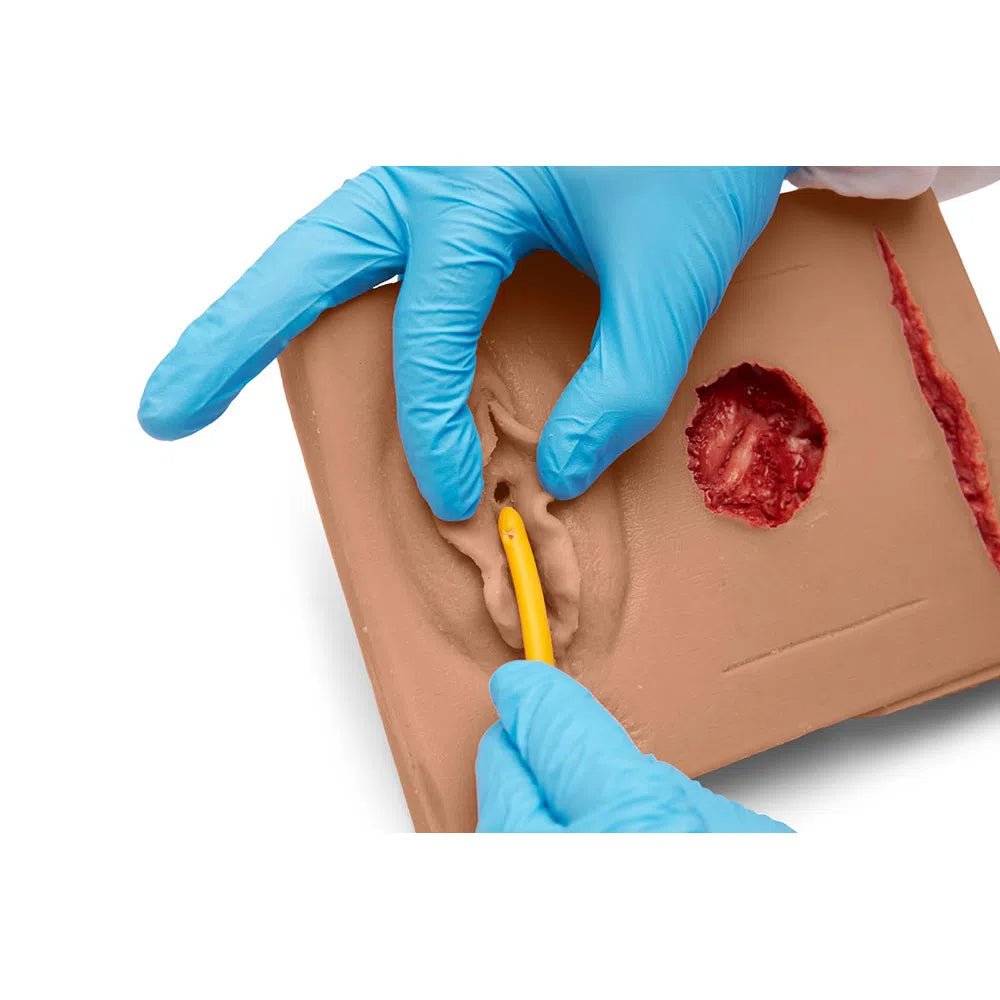 MultiPad 2 | Multipurpose Clinical Skills Trainer FLEX-MULTIPAD2-M | Sim & Skills