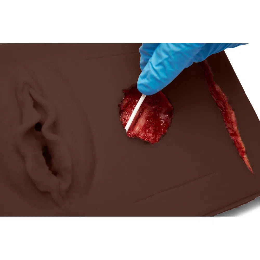 MultiPad 2 | Multipurpose Clinical Skills Trainer FLEX-MULTIPAD2-N | Sim & Skills