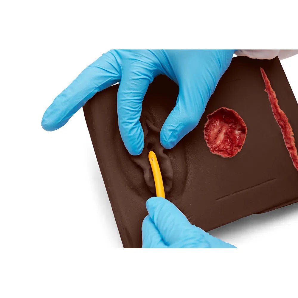 MultiPad 2 | Multipurpose Clinical Skills Trainer FLEX-MULTIPAD2-N | Sim & Skills