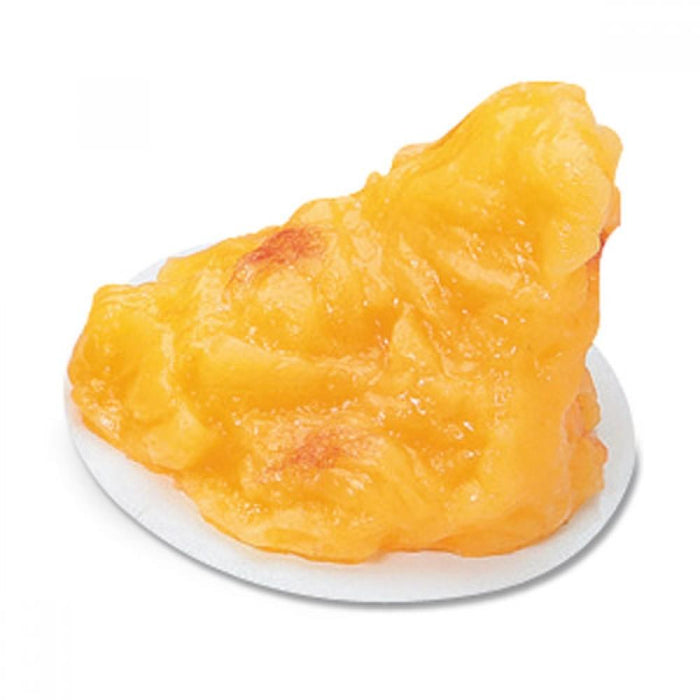 One Pound (1 lb) of Fat Model Mounted WA7173 | Sim & Skills