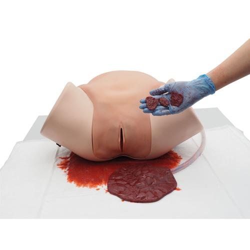 Postpartum Haemorrhage Simulator – PPH Trainer P97 PRO 1023727 | Sim & Skills