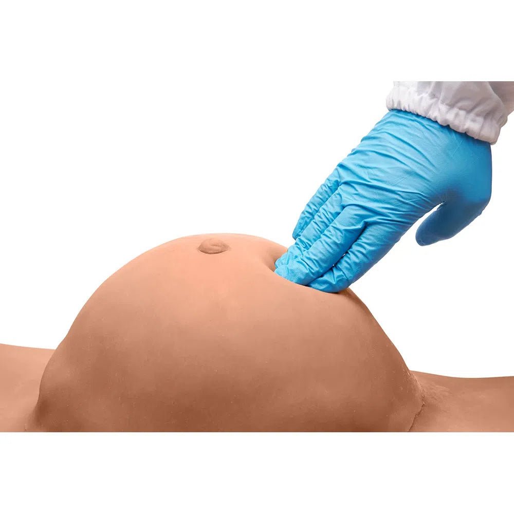 Pregnant Belly B-FV9-001-M | Sim & Skills