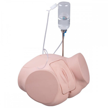 Pro Catheterisation Simulator - Transurethral & Suprapubic 1023008 | Sim & Skills Ltd