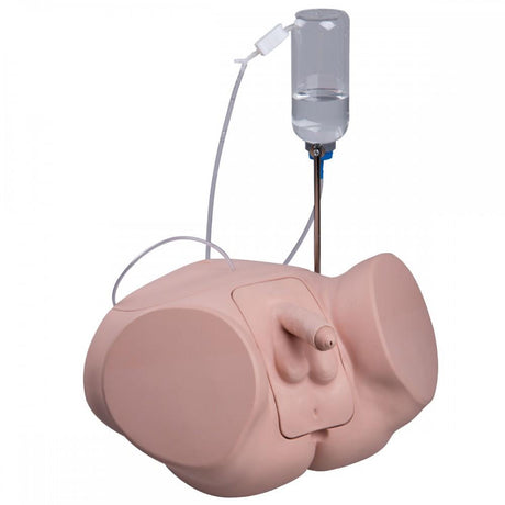 Pro Catheterisation Simulator - Transurethral & Suprapubic 1023009 | Sim & Skills Ltd
