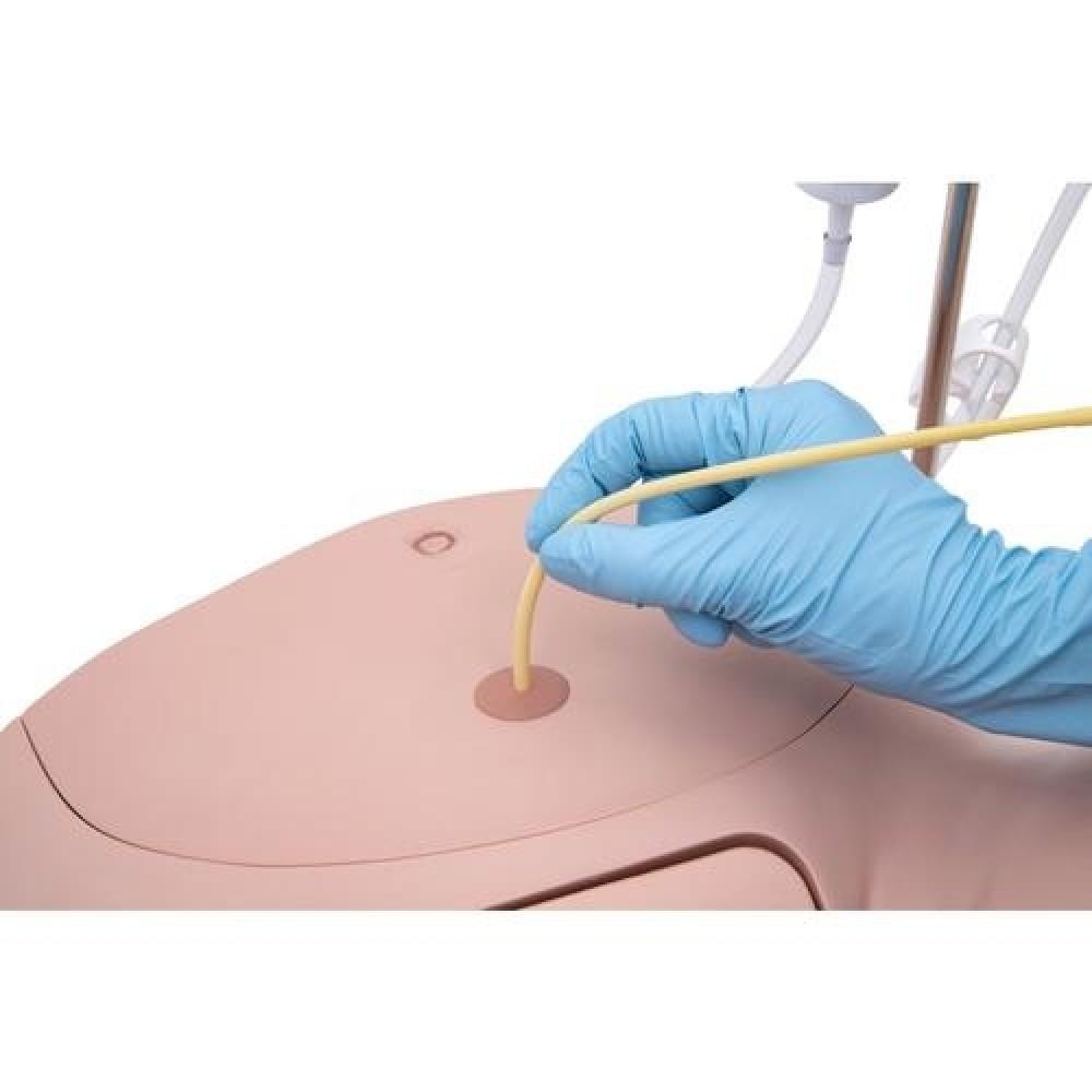 Pro Catheterisation Simulator - Transurethral & Suprapubic 1023010 | Sim & Skills Ltd