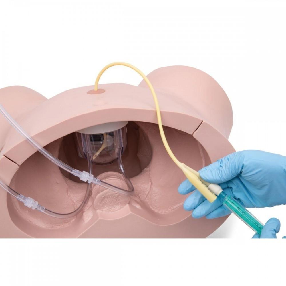 Pro Catheterisation Simulator - Transurethral & Suprapubic 1023010 | Sim & Skills Ltd
