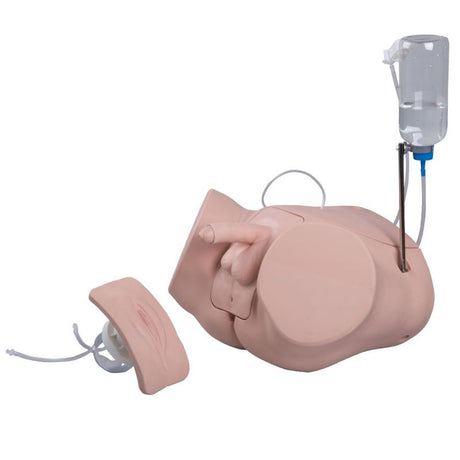 Pro Catheterisation Simulator - Transurethral & Suprapubic 1023010 | Sim & Skills Ltd