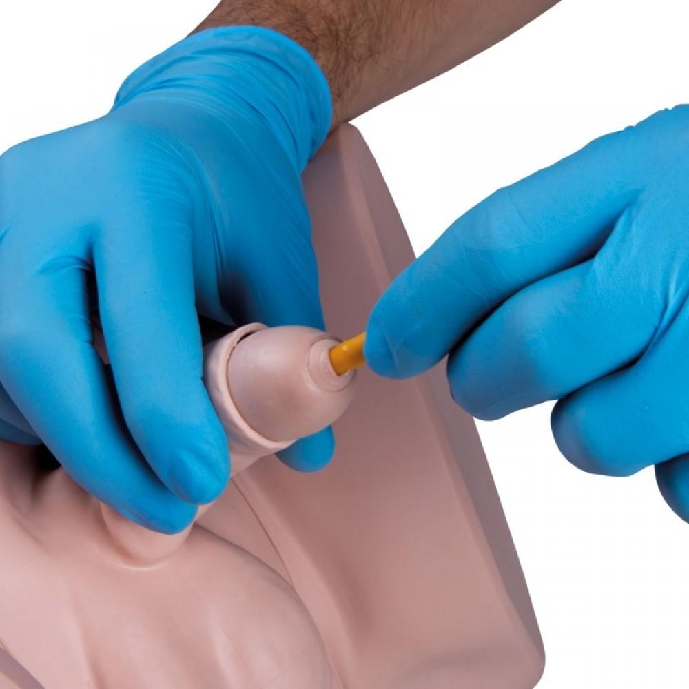 Pro Catheterisation Simulator - Transurethral & Suprapubic 1023010 | Sim & Skills Ltd