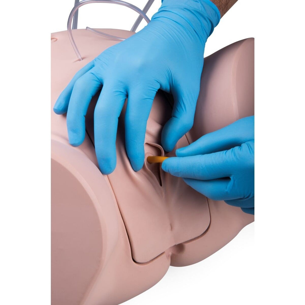 Pro Catheterisation Simulator - Transurethral & Suprapubic 1023010 | Sim & Skills Ltd