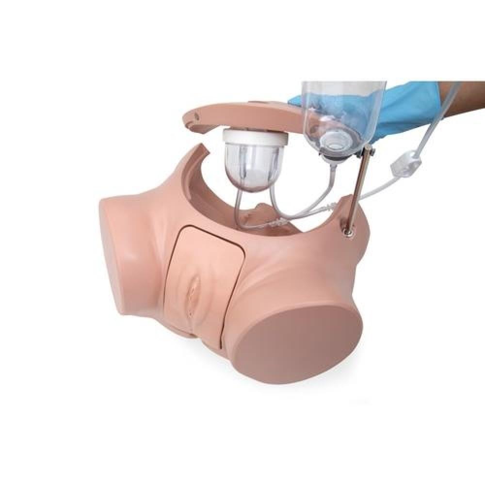 Pro Catheterisation Simulator - Transurethral & Suprapubic 1023010 | Sim & Skills Ltd