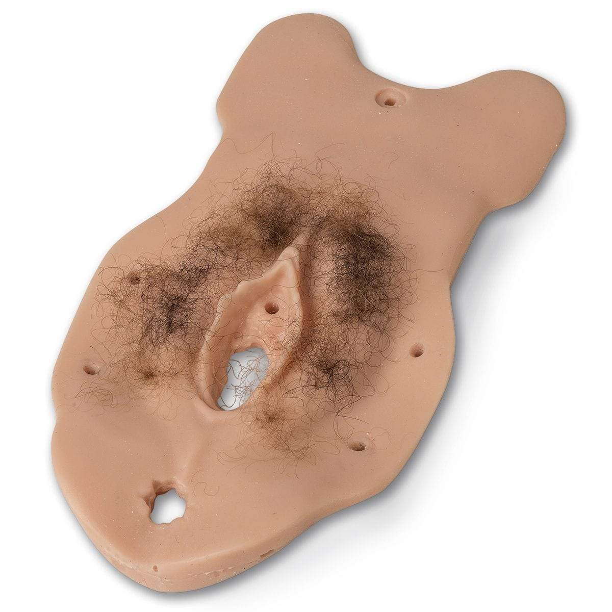 Sexual Assault Nurse Examiner (S.A.N.E.) Module LF01244 C | Sim & Skills