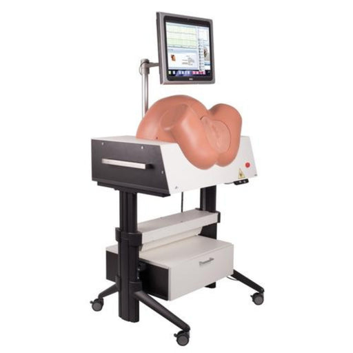 SIMone™ Birthing Simulator 1019599 | Sim & Skills