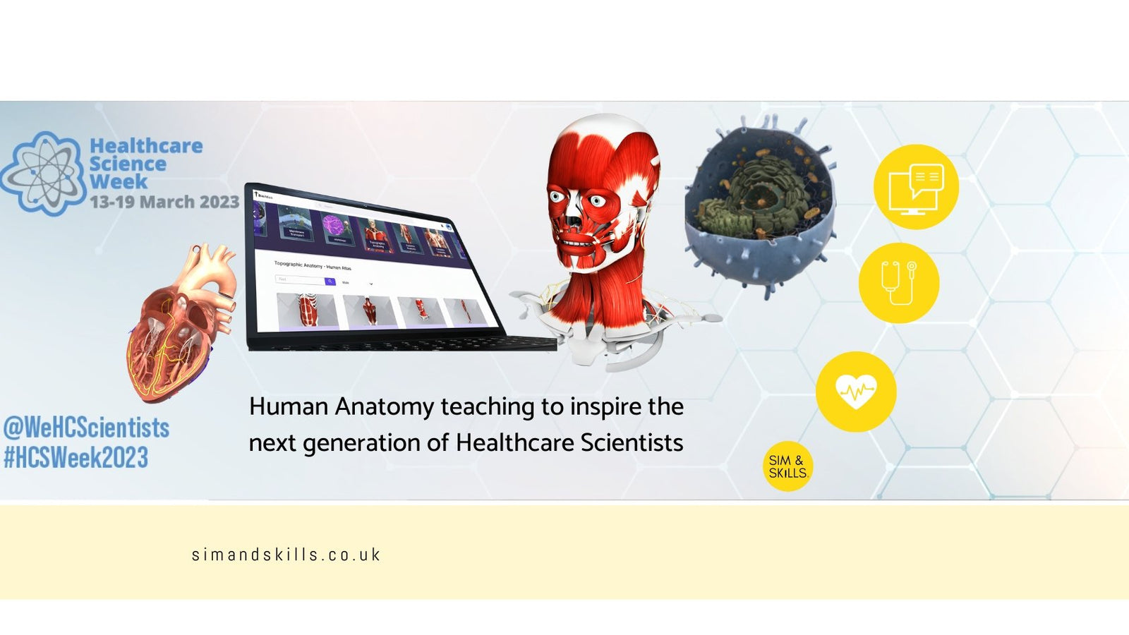 Human anatomy teaching to inspire the next generation of healthcare scientists - Sim & Skills