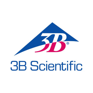 3B Scientific