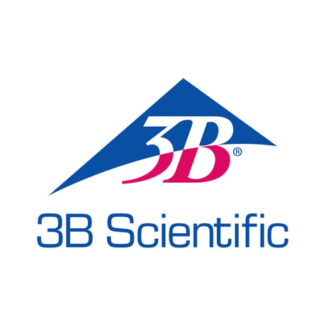 Logo of 3B Scientific, a supplier of scientific and medical educational materials, with a note that their products are available for purchase in the UK through Sim & Skills