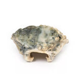 Carcinoma of Larynx| EZ-MP2052 | Sim & Skills Ltd