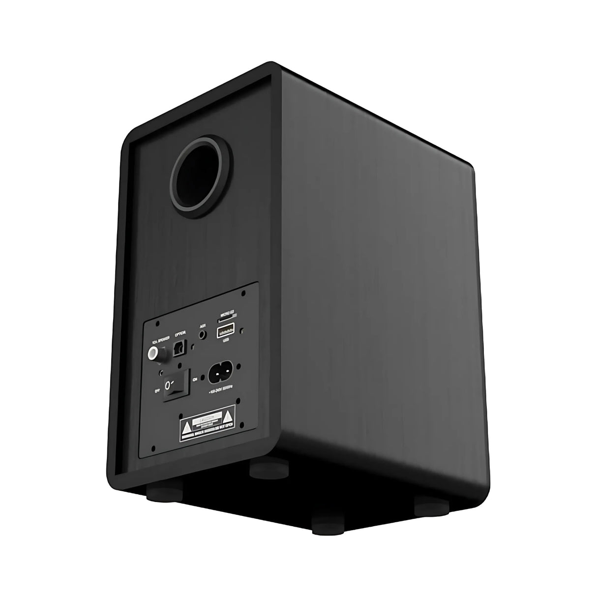 Speaker System for SAM4 and PAT4 Auscultation Manikins