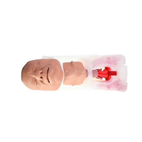 Airway Management Trainer Complete | Sim & Skills