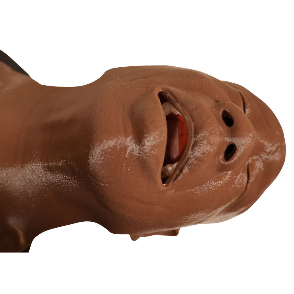 Decent Simulators V2 Airway Management Trainer | C00010-D | Sim & Skills Ltd