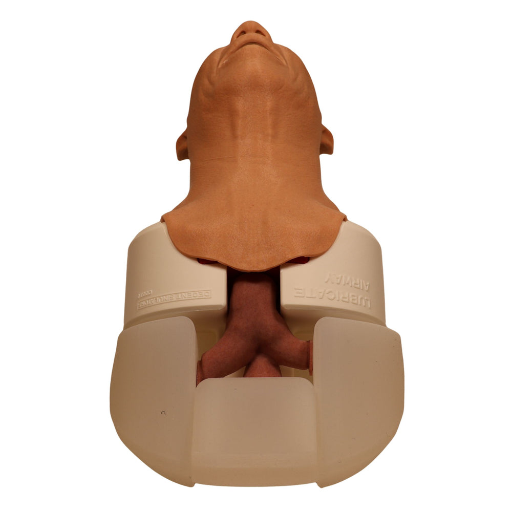 Decent Simulators V2 Airway Management Trainer | C00010 | Sim & Skills Ltd